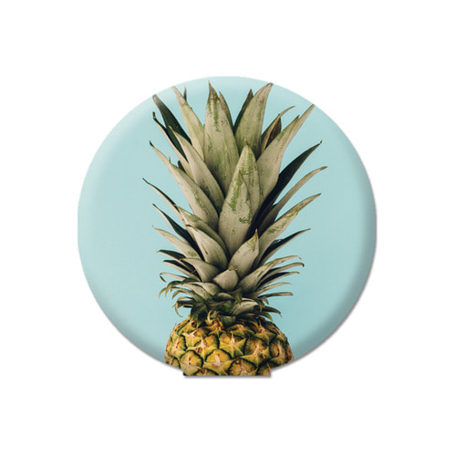Sticky Pad_pineapple